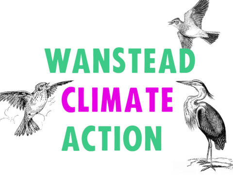 Wanstead Climate Action logo with birds